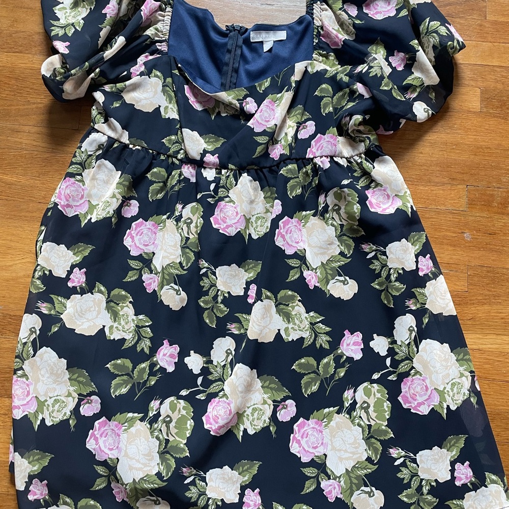Chelsea28 Blue and Pink Puff Sleeve Midi Dress